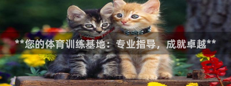 富联是什么：**您的体育训练基地：专业指导，成就卓越
