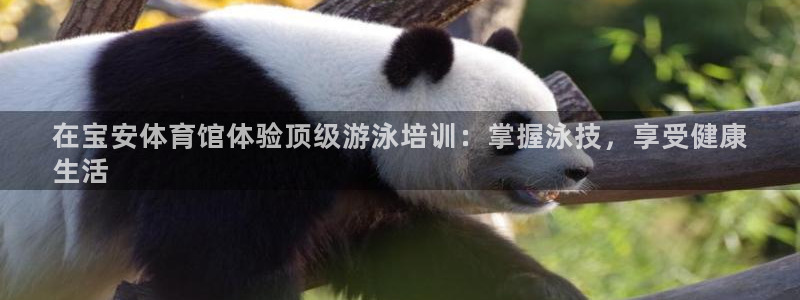 富联娱乐注册7o777皓：在宝安体育馆体验顶级游泳培