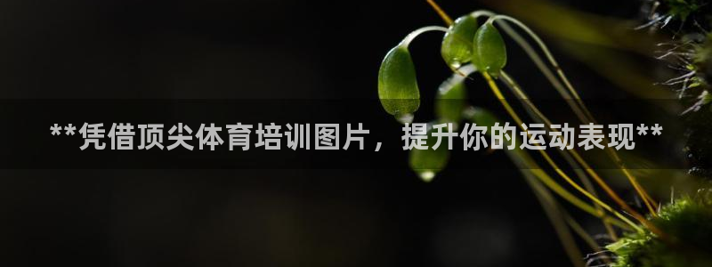 富联平台开户条件：**凭借顶尖体育培训图片，提升你的
