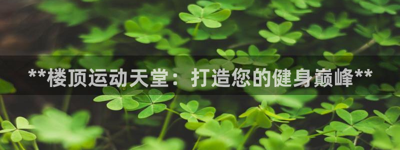 富联申购上市价格预测表：**楼顶运动天堂：打造您的健