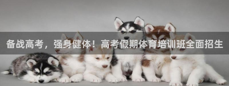 富联平台总代理是谁：备战高考，强身健体！高考假期体育