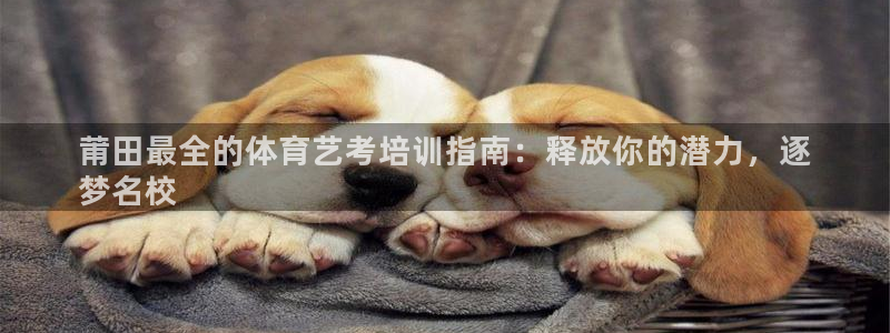 富联智能：莆田最全的体育艺考培训指南：释放你的潜力，