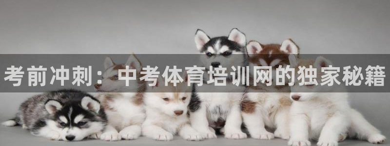 富联娱乐测速登录不上