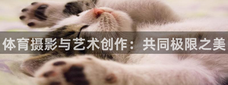 富联官网登录网址
