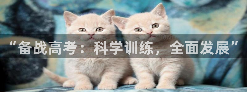 富联平台某7O777：“备战高考：科学训练，全面发展”