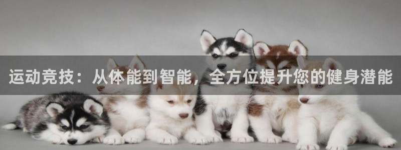 富联平台登陆：运动竞技：从体能到智能，全方位提升您的
